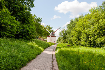 Trier, Mosel, Moselkran, Landkran, Fluss, Moselufer, Uferweg, Radtour, Spazierweg, Römerbrücke, Rheinland-Pfalz, Stadt, Altstadt, Frühling, Deutschland