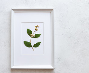white frame with a beautiful dried flower on a white concrete wall. natural creative background. plant scandinavian interior. flat lay.