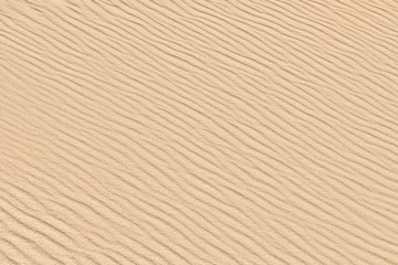 Fototapeta na wymiar Sand background. Desert dune texture. Sandy beach.