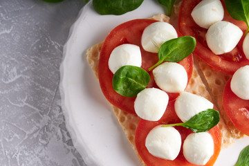 toasts with mozzarella, tomatoes and spinach in a white plate