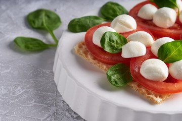 toasts with mozzarella, tomatoes and spinach in a white plate