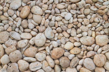 River rocks