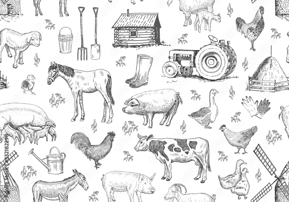 Wall mural vector seamless pattern with farm elements, animals.