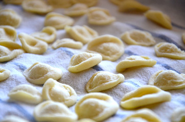 Fototapeta na wymiar Uncooked orecchiette pasta
