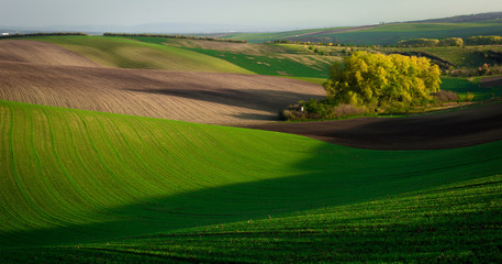 Wonderful landscapes of autumn Moravian fields in the golden hour.