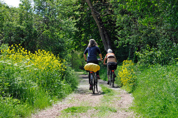 Naklejka premium radfahrer