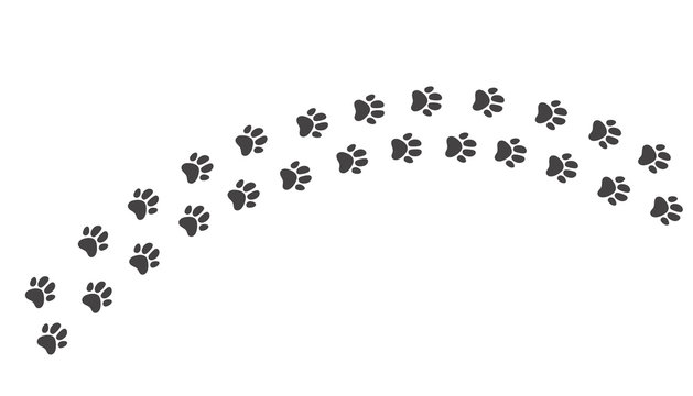 Animal dog cat paws foot print concept. Vector flat graphic design isolated illustration