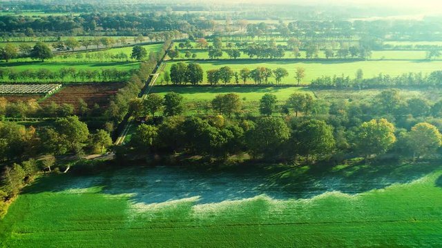 Frost Visible in the Shadow of a Row of Trees, Protected from the Sunshine, on a Green Field, Shot Moving Left &ndash; Friesland, Netherlands / Holland &ndash; 4K Drone Footage