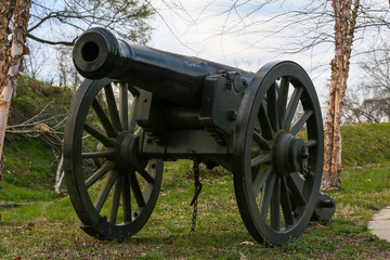 Civil War Cannon in a field in Clarksville Tennessee