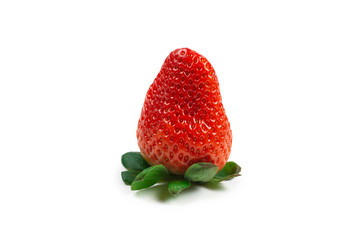 Strawberry. Fresh berries macro.