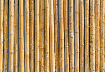 Wall of old yellow bamboo