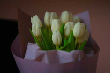 spring flowers banner - bunch of white tulip flowers on bright colorful background. spring flowers