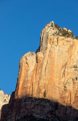 Fototapeta premium Scenic Zion National Park Utah Landscape