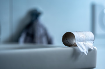 Toilettenpapier kaufen in der Zeit des Corona Virus