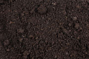 Black land for plant background.