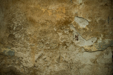 texture of old wall