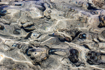 a fantastic place between desert and sea of sharm el sheik