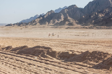 a trip to sharm el sheik beautiful desert