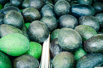 Fototapeta na wymiar Heap of ripe and green avocados at farmer market in Puyallup, Washington, USA