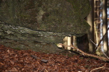 bemooste Felsen im Oberfränkiscchen Wald