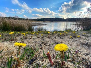 Obraz premium lake in the mountains