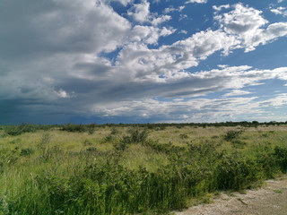 Fototapeta na wymiar clouded field with special sky