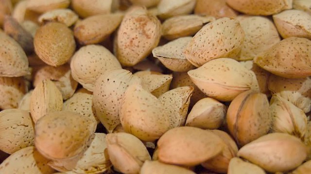 Amandes et noisettes en gros plan avec un l&eacute;ger travelling avant.