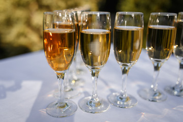 Glasses of champagne and sparkling wine served at charity event, alcoholic drinks close-up