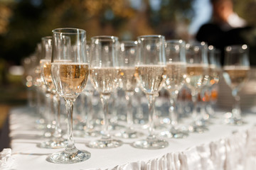 Elegant glasses with champagne standing in a row on serving table during party or celebration