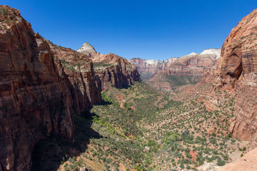 Canyon Overlook, Zion National Park, Utah