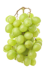 Fresh white green bunch of grapes on white background