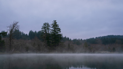 Fototapeta premium Kayaking Along Mud Bay Fog