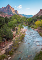 The Virgin River flowing by trees through Zion National Park