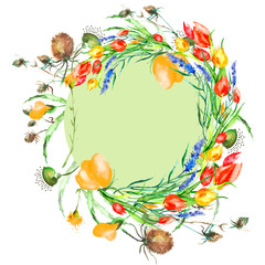 Fototapeta premium Watercolor Frame of tulips, flower,thistle, burdock, lavender branch. Vintage drawing plant isolated on white background. Card with red and yellow tulip flowers. Garden flowers. wreath of wildflowers