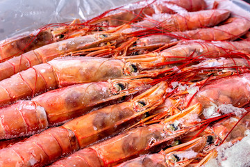 Obraz na płótnie Canvas Amazing fresh large frozen shrimps. Pink fresh uncooked shrimps. Close-up. Delivery of frozen seafood to stores in package with hoarfrost on counter. Delicacies, sea food concept.