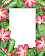Tropical frame with watercolor pink flowers and leaves