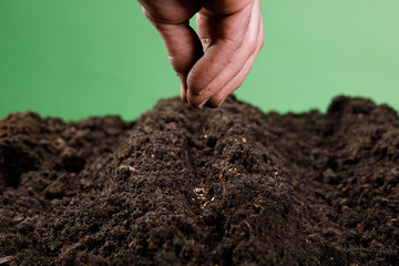 Farmer planting seeds in the ground, close-up of gardener's hands planting seedlings and seeds in soil
