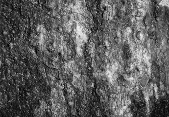 Fototapeta premium Background wallpaper, texture gray concrete granite