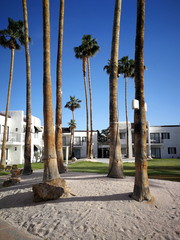 Wei&szlig;es Hotel mit Palmen in Las Vegas, Nevada