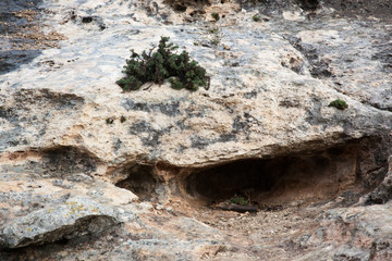 Abstraction of Stone