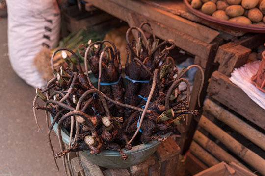 Markt, Basar, Ratten