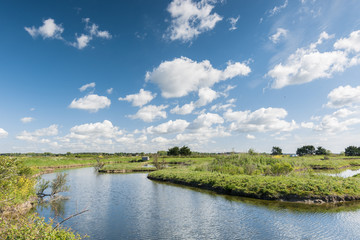 Obraz premium Marais salants vendéens