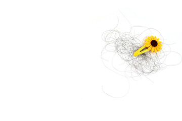 Yellow sunflower hair clip with hair loss, hair loss every day, serious problems and hair loss on a white background.