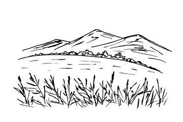 Simple vector freehand drawing in black outline on a white background. Landscape, wildlife. The contour of the mountains on the horizon, lake, reeds, grass in the foreground. Nature, relaxation.