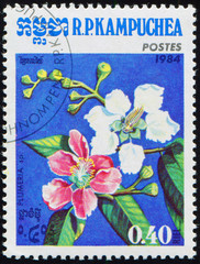 CAMBODIA - CIRCA 1984: stamp 0.40 Cambodian riel printed by Kingdom of Cambodia, shows flowering...