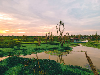 Agusan Marsh