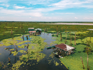 Fototapeta premium Agusan Marsh