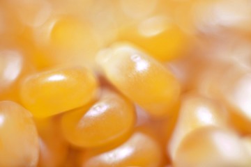 Yellow natural corn seeds