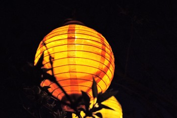 Orange lantern