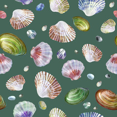 Watercolor illustration. Pattern of sea shells and sea stones on a gray and green background. Summer theme, beach and relaxation.